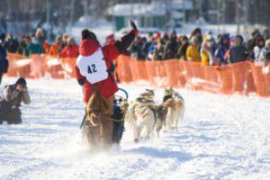 sled Present day Iditarod Dog sled and team Westmark Hotels Alaska & the Yukon